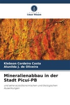 Klebson Cordeiro Costa, Alunilda J de Oliveira, Alunilda J. de Oliveira - Mineralienabbau in der Stadt Picuí-PB