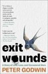 Peter Godwin - Exit Wounds