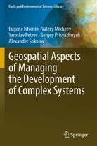 Eugene Istomin, Valery Mikheev, Yaroslav Petrov, Yaroslav e Petrov, Sergey Prisyazhnyuk, Alexander Sokolov - Geospatial Aspects of Managing the Development of Complex Systems