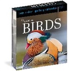 Workman Calendars, National Audubon Society, National Audubon Society, National Audubon Calendars Society, Workman Calendars - Audubon Birds Gallery Calendar 2024