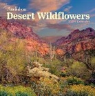 Workman Calendars, National Audubon Society, National Audubon Calendars Society - Audubon Desert Wildflowers Wall Calendar 2024