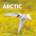 Workman Calendars, National Audubon Society, National Audubon Society, National Audubon Calendars Society, Workman Calendars - Audubon Arctic Wall Calendar 2024
