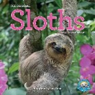 Workman Calendars, Lucy Cooke, Lucy Calendars Cooke, Workman Calendars - Original Sloths Wall Calendar 2024