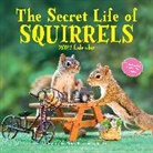 Workman Calendars, Nancy Rose, Nancy Calendars Rose, Workman Calendars - Secret Life of Squirrels Wall Calendar 2024