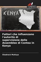 Shadrack Mutisya - Fattori che influenzano l'autorità di supervisione delle Assemblee di Contea in Kenya
