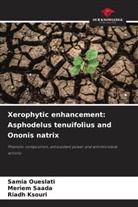 Riadh Ksouri, Samia Oueslati, Meriem Saada - Xerophytic enhancement: Asphodelus tenuifolius and Ononis natrix