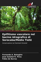 Fábio de Barros, Fernando A. Bataghin, José Salatiel R. Pires - Epifitismo vascolare nel bacino idrografico di Sorocaba/Médio Tietê