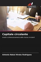Antonio Nakai Hiroks Rodrigues - Capitale circolante