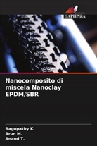 Ragupathy K., Arun M., Anand T. - Nanocomposito di miscela Nanoclay EPDM/SBR