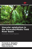 Fábio de Barros, Fernando A. Bataghin, José Salatiel R. Pires - Vascular epiphytism in the Sorocaba/Médio Tietê River Basin