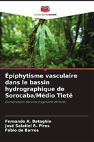 Fábio de Barros, Fernando A. Bataghin, José Salatiel R. Pires - Épiphytisme vasculaire dans le bassin hydrographique de Sorocaba/Médio Tietê