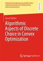 David Müller - Algorithmic Aspects of Discrete Choice in Convex Optimization