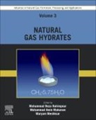 Mohammad Amin Makarem, Maryam Meshksar, Mohammad Reza Rahimpour, Mohammad Reza Rahimpour - Advances in Natural Gas: Formation, Processing, and Applications. Volume 3: Natural Gas Hydrates