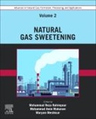 Mohammad Amin Makarem, Maryam Meshksar, Mohammad Reza Rahimpour, Mohammad Reza Rahimpour - Advances in Natural Gas: Formation, Processing, and Applications. Volume 2: Natural Gas Sweetening