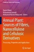 Mohamed Naceur Belgacem, Mohammed Jawaid, Ramzi Khiari, Mohamed Naceur Belgacem - Annual Plant: Sources of Fibres, Nanocellulose and Cellulosic Derivatives