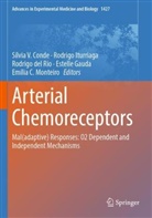 Sílvia V. Conde, Rodrigo del Rio, Rodrigo del Rio et al, Estelle Gauda, Rodrigo Iturriaga, Emília C. Monteiro - Arterial Chemoreceptors