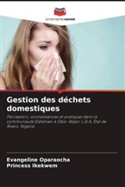 Princess Ikekwem, Evangeline Oparaocha - Gestion des déchets domestiques