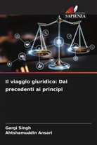 Ahtshamuddin Ansari, Gargi Singh - Il viaggio giuridico: Dai precedenti ai principi