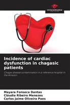 Mayara Fonseca Dantas, Cláudia Ribeiro Menezes, Carlos Jaime Oliveira Paes - Incidence of cardiac dysfunction in chagasic patients