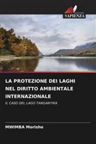 Mwimba Morisho - LA PROTEZIONE DEI LAGHI NEL DIRITTO AMBIENTALE INTERNAZIONALE