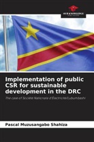 Pascal Muzusangabo Shahiza - Implementation of public CSR for sustainable development in the DRC