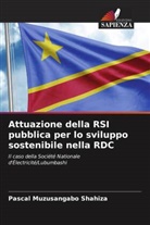 Pascal Muzusangabo Shahiza - Attuazione della RSI pubblica per lo sviluppo sostenibile nella RDC