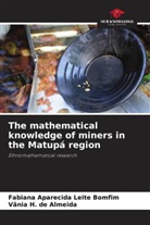 Fabiana Aparecida Leite Bomfim, Vânia H. de Almeida - The mathematical knowledge of miners in the Matupá region