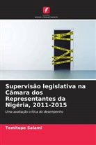 Temitope Salami - Supervisão legislativa na Câmara dos Representantes da Nigéria, 2011-2015