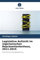 Temitope Salami - Legislative Aufsicht im nigerianischen Repräsentantenhaus, 2011-2015