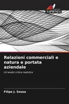 Filipe J. Sousa - Relazioni commerciali e natura e portata aziendale