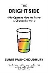 Sumit Paul-Choudhury, Paul-Choudhury Sumit - The Bright Side