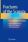 Vincenzo Giordano, Pedro José Labronici, Pedro José Labronici, Robinson Esteves Pires - Fractures of the Scapula