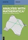 Galina Filipuk, Andrzej Koz¿owski, Andrzej Kozlowski - Galina Filipuk; Andrzej Kozlowski: Analysis with Mathematica® - Volume 2: Multi-variable Calculus