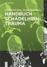 Piek, Jürgen Piek, Eckhard Rickels - Handbuch Schädelhirntrauma