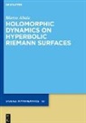 Marco Abate - Holomorphic Dynamics on Hyperbolic Riemann Surfaces
