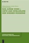 Wilhelm Hemecker, Cornelius Mitterer, David Österle - Das Junge Wien - Orte und Spielräume der Wiener Moderne
