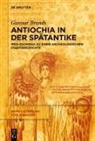 Gunnar Brands - Antiochia in der Spätantike
