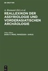 A. Bramanti, J. Fechner, M. Greiner, S. Heigl, N. Morello, Michael P. Streck - Reallexikon der Assyriologie und Vorderasiatischen Archäologie - Band 11: Prinz, Prinzessin - Samug