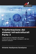 Victoria Vasilyevna Savelyeva - Trasformazione dei sistemi infrastrutturali Parte 3