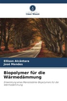 Ellison Alcântara, José Mendes - Biopolymer für die Wärmedämmung