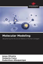 Eudenilson Albuquerque, Umberto Fulco, Jonas Oliveira - Molecular Modeling