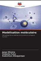 Eudenilson Albuquerque, Umberto Fulco, Jonas Oliveira - Modélisation moléculaire