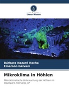 Emerson Galvani, Bárbara Nazaré Rocha - Mikroklima in Höhlen