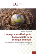 Mamadou Lamine Ndiaye - Les pays sous-développés: l'adaptabilité de la politique publique