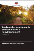 Ana Paula Escobar Gonçalves - Analyse des pratiques de sensibilisation à l'environnement
