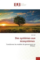 Seth Sall - Des systèmes aux écosystèmes