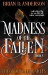 Brian D. Anderson - Madness of the Fallen