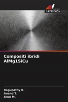 Ragupathy K., Arun M., Anand T. - Compositi ibridi AlMg1SiCu