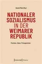 Daniel Meis - Nationaler Sozialismus in der Weimarer Republik