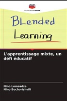 Nino Bochorishvili, Nino Lomsadze - L'apprentissage mixte, un défi éducatif